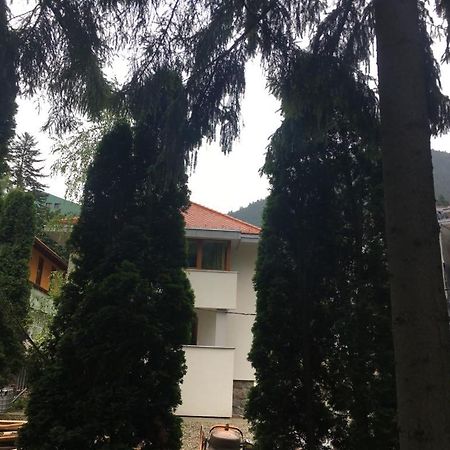 Manyi Villa BaileTusnad Exterior photo