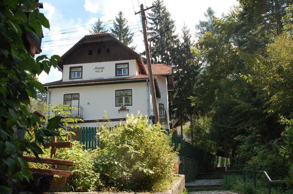 Manyi Villa BaileTusnad Exterior photo