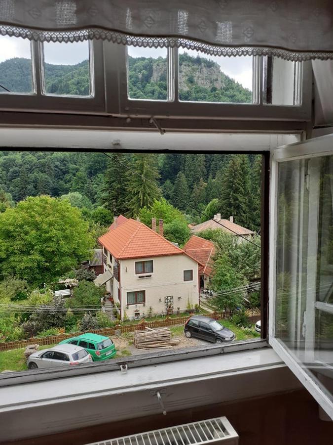 Manyi Villa BaileTusnad Exterior photo